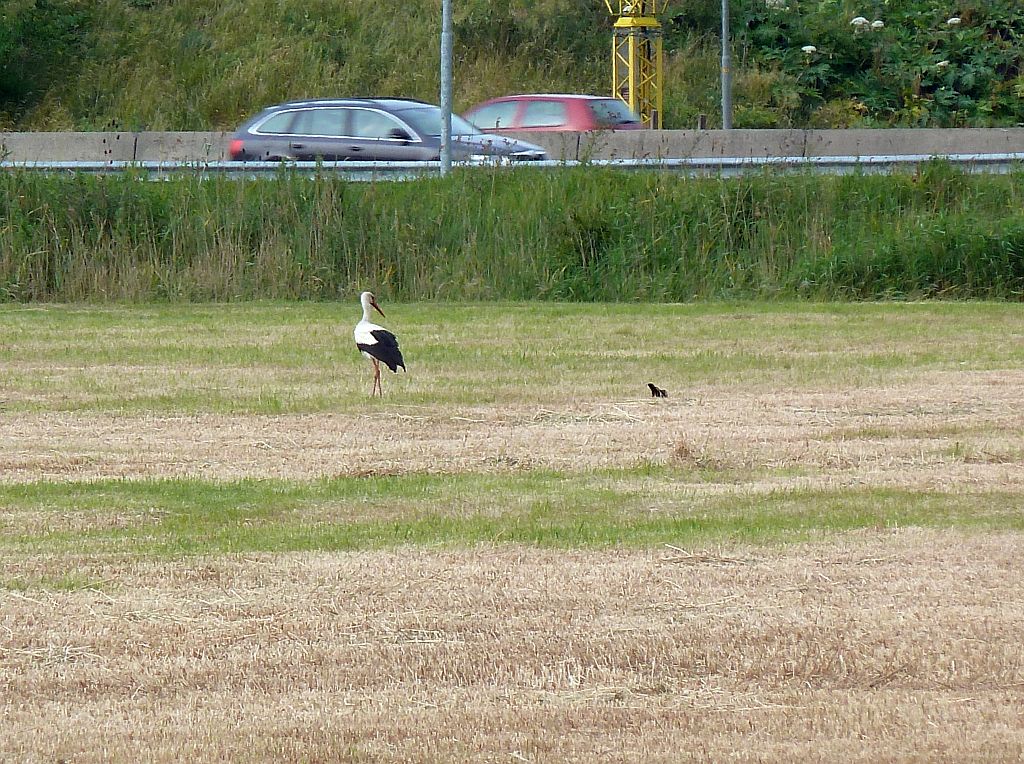 Oude Haagse Weg - Amsterdam